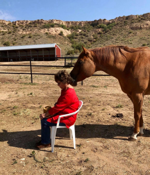 Led-by-horses-session-2-1