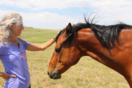 horse-and-human-