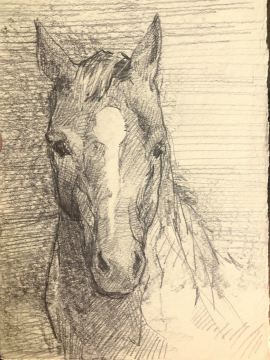 Drawing-of-Shillelagh-by-Elinor-Krieger-Coble-in-Iowa