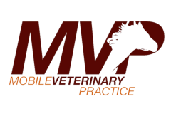 Corporate Logos for Website - MVP