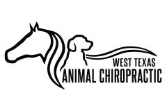 Corporate Logos for Website - West Texas Animal Chiro.