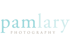 Corporate Logos for Website - Pam Lary