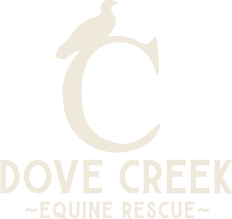 Dove Creek Equine Rescue